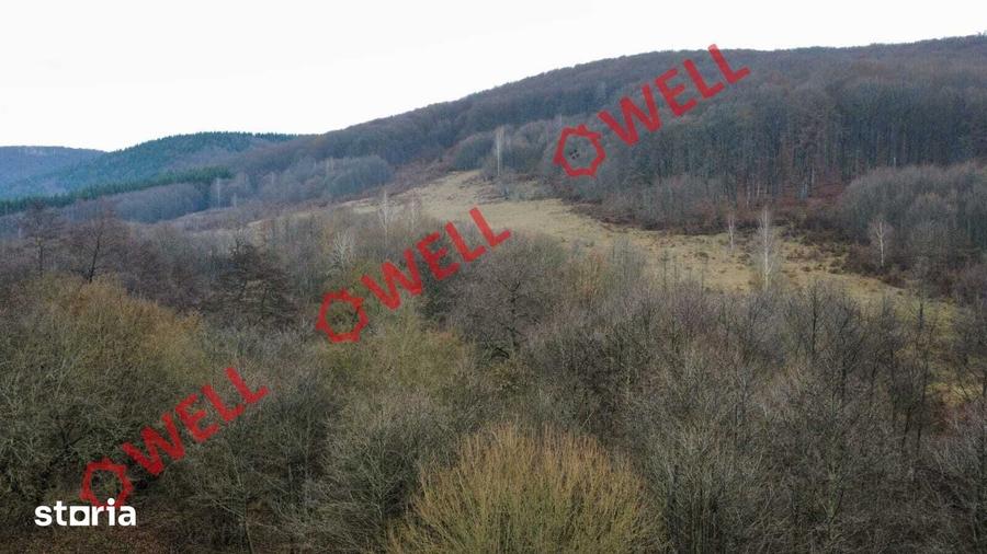 Teren de 5000 mp, în Malnaș