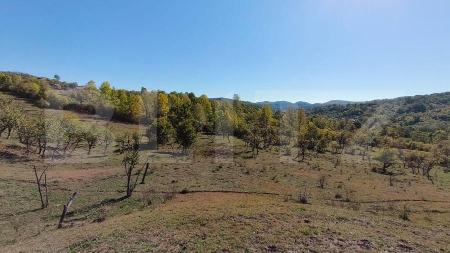 Teren agricol extravilan de 7382 mp, în Valea Lungă-Cricov