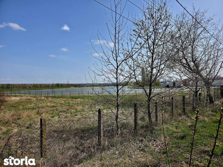 Teren de 7000 mp, în Girov