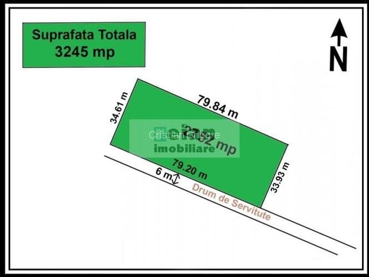 Ciolpani - Padurea 3300 mp, Toate utilitatile, Padure, 79 deschidere