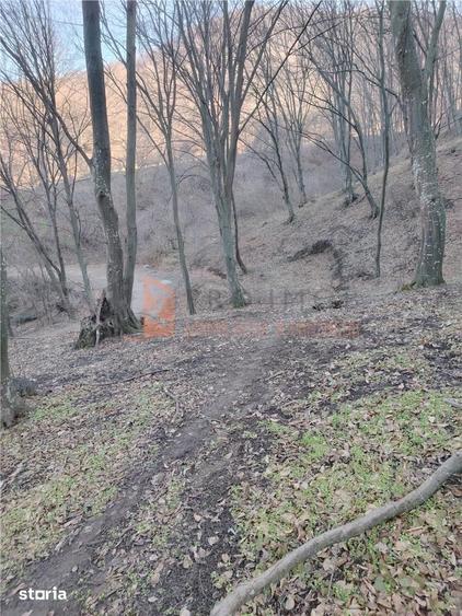 Teren de 1000 mp, în Merei