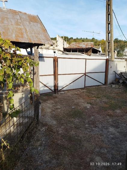 Vand casa la tara com. Danciulesti