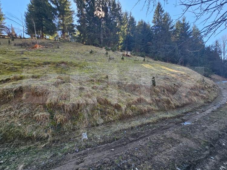 Teren Construcții intravilan de 2977 mp, în Scărișoara