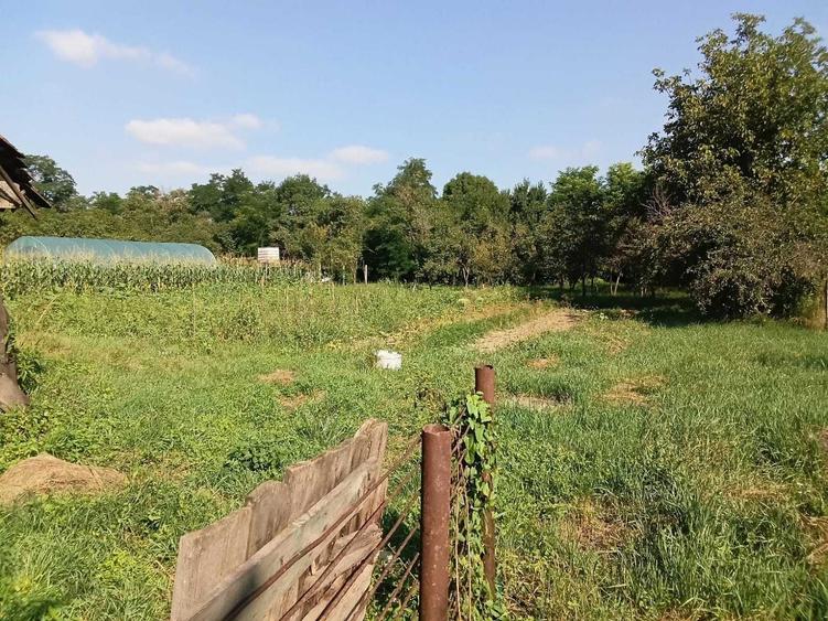 Casa de vanzare cu curte,gradina 2500mp - 4