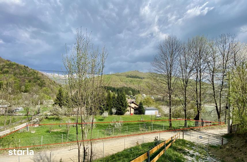 Teren de 1780 mp, în Valea Doftanei