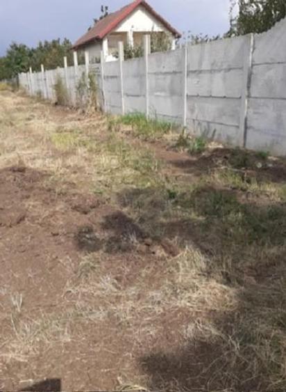 Teren de 2637 mp, în Lilieci