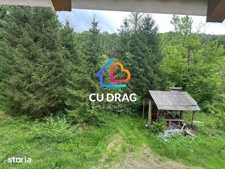 Casă cu Teren 12000 Mp în Avrig