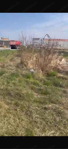 Teren de 2300 mp, în Viișoara