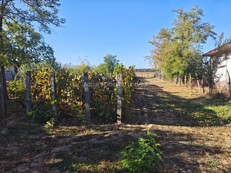 Teren intravilan 3384mp Peris, sat Bratulesti, str. A. Odobescu 16