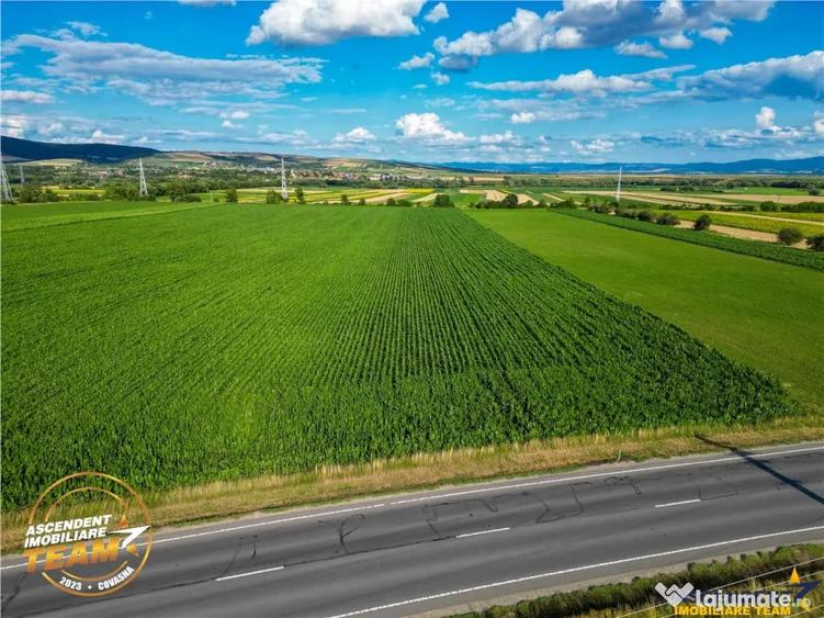 Teren de 30200 mp, în Valea Crișului