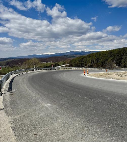 Teren de 10000 mp, în Valea Mare