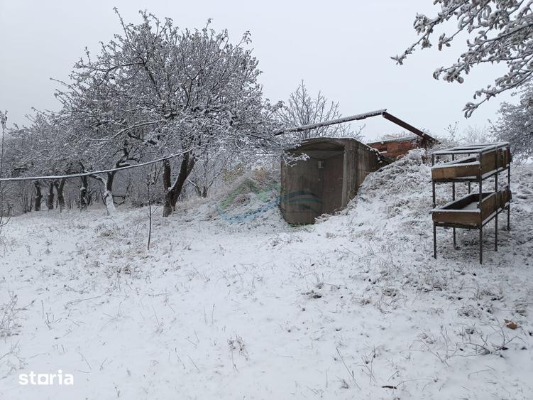 Casă cu 4 camere cu Teren 4863 Mp în Coșna