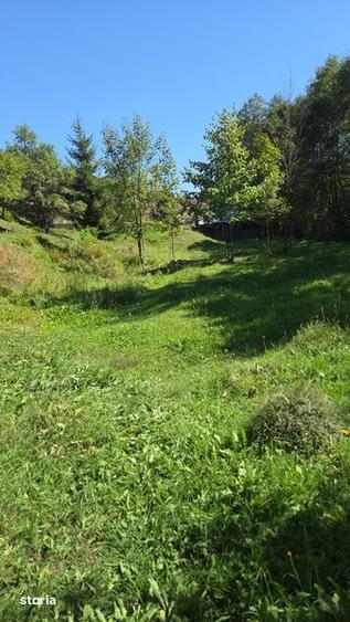 Teren intravilan - 1