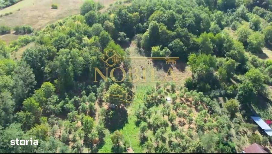 Teren de 10537 mp, în Bogdănești