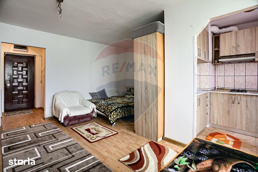 Apartament cu 1 camere de inchiriat in zona Aurel Vlaicu - 9