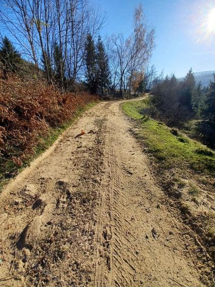 Teren de 8000 mp, în Vama