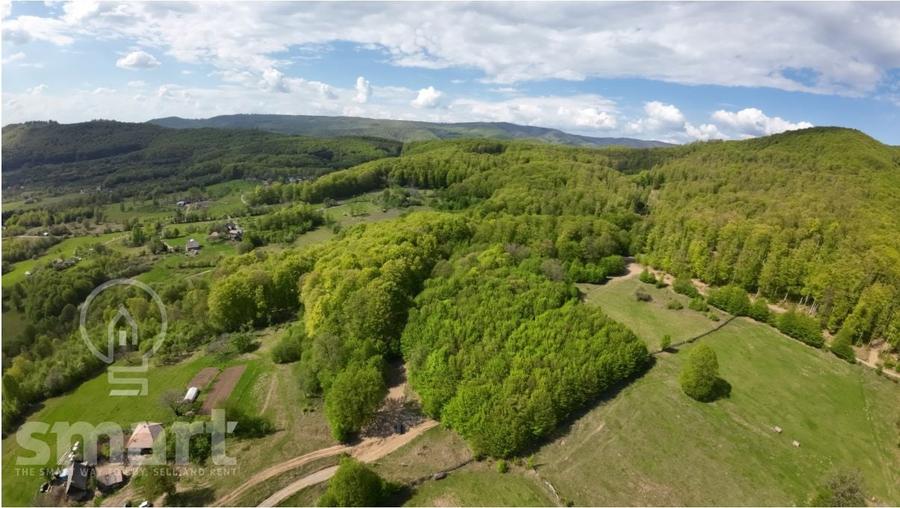 Teren Construcții intravilan de 13700 mp, în Săcădat