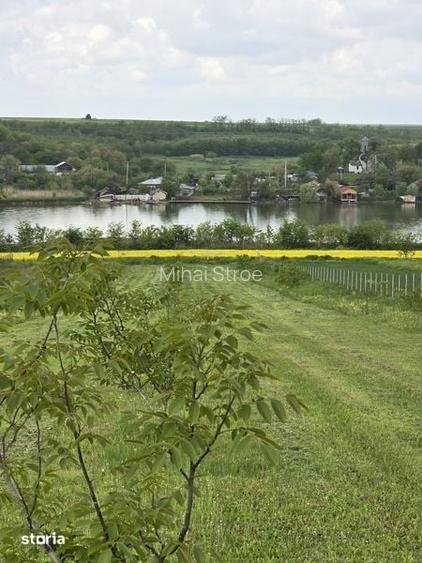 Vand casa la balta si 5000 metri patrati cu livada de 110 nuci