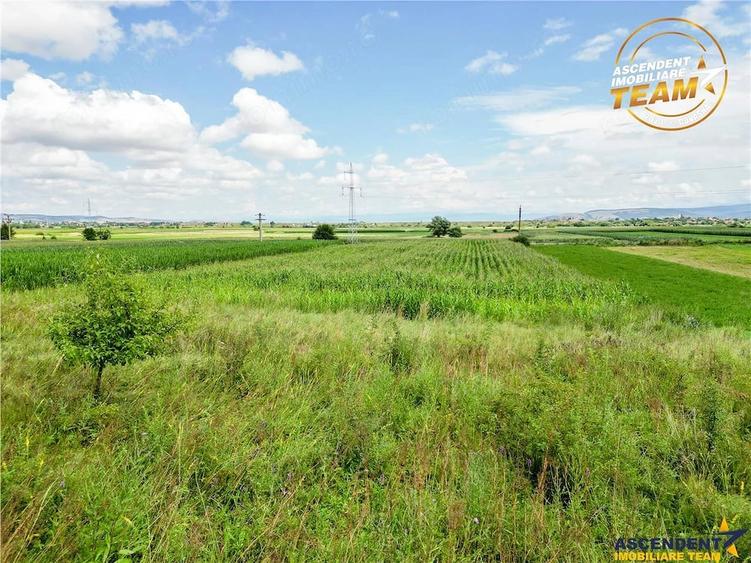Teren de 7400 mp, în Sâncraiu