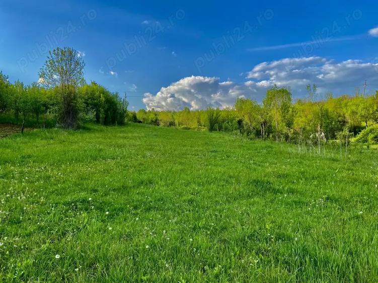 Casă cu 4 camere cu Teren 5000 Mp în Central