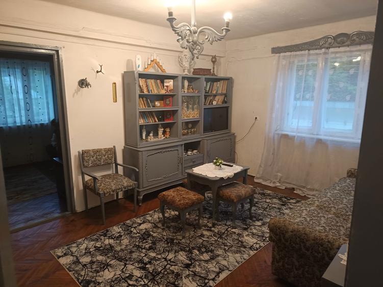 Apartament cu 2 camere semidecomandat în Băiuț