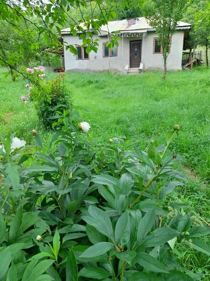 Casă cu 3 camere cu Teren 12000 Mp în Valea Anei