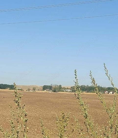 Teren de 8400 mp, în Central