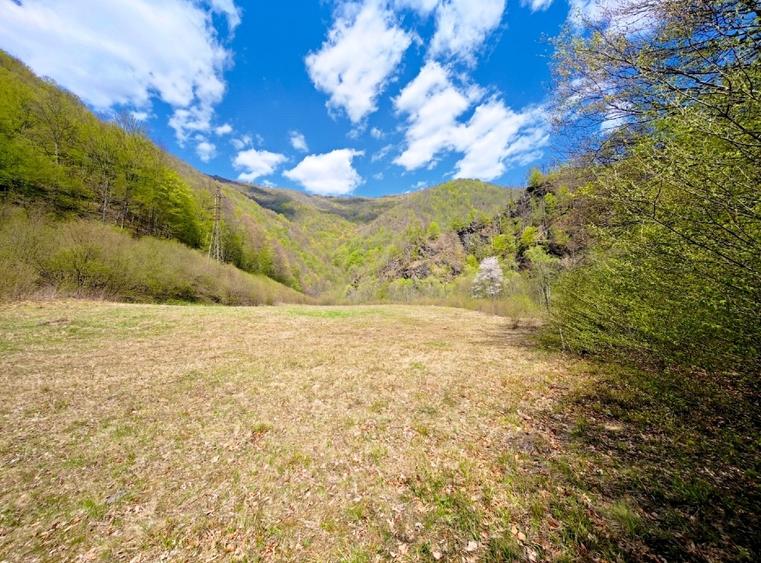 Vând teren intravilan Tarnița - Risca - Mărișel  jud. Cluj - 3