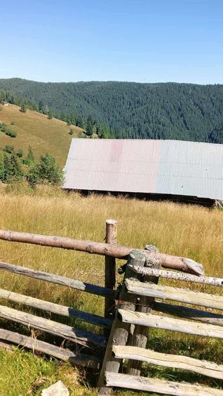 Vand teren intravilan - 4
