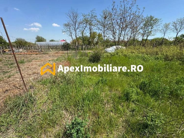Teren de 1663 mp, în Cornetu