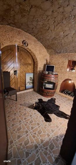 Casa individuala Bucium Plopii Fara Sot - 9