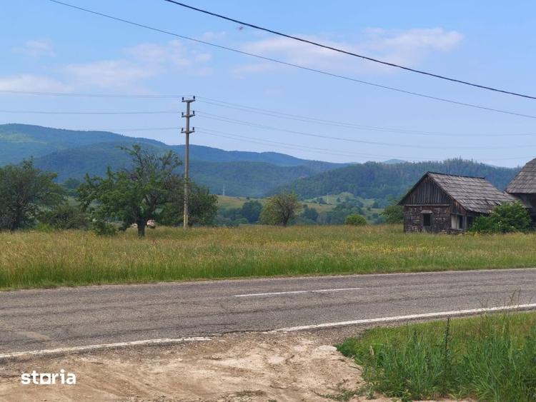 Casă cu 3 camere cu Teren 5000 Mp în Rădăuți