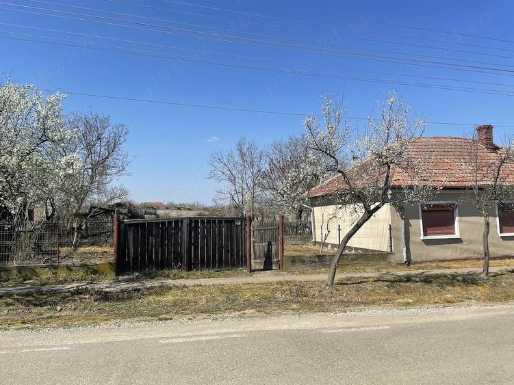 Casă cu Teren 1436 Mp în Tăut