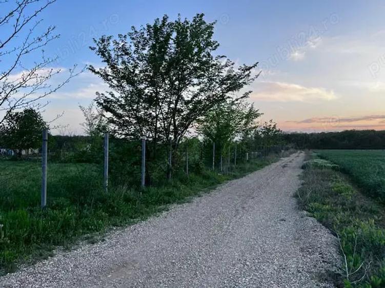 Teren de 2300 mp, în Ciolpani