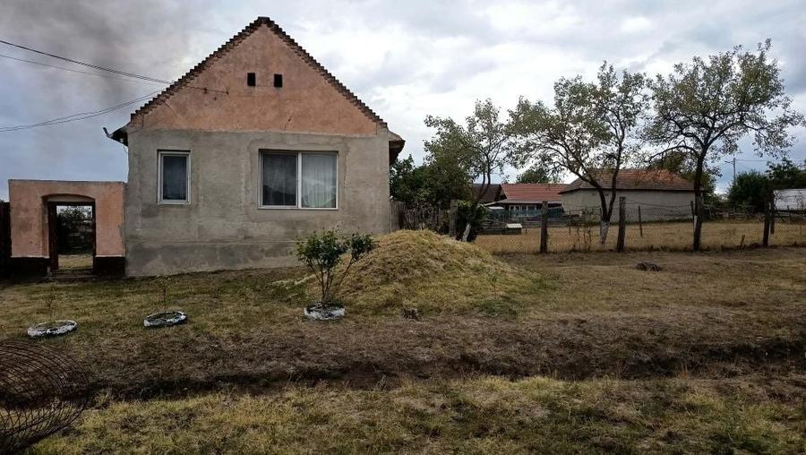 Casă cu 3 camere în Agrișu Mare