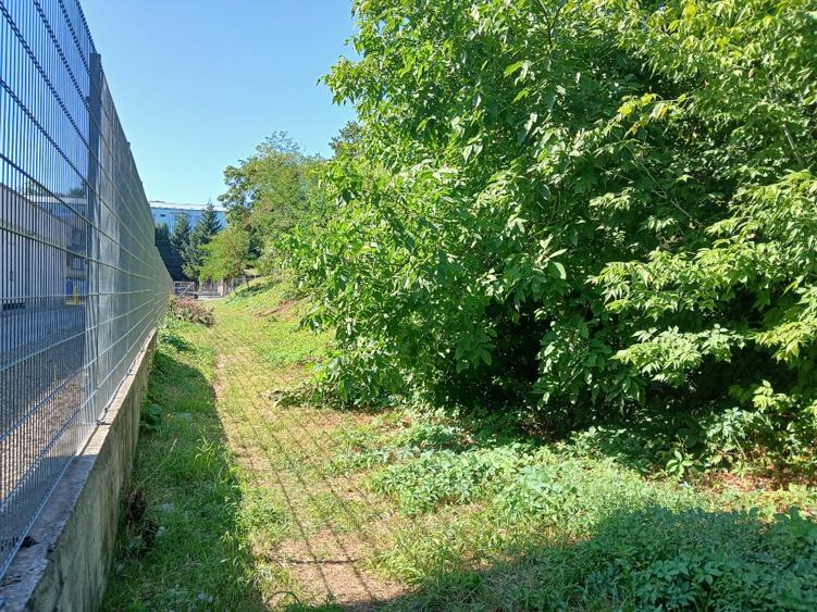 Teren Construcții intravilan de 4207 mp, în Central