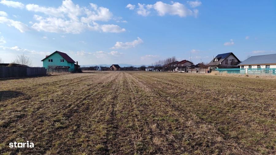 Oportunitate Bod: Teren 2500mp intravilan, utilita?i, zona lini?tita - 1