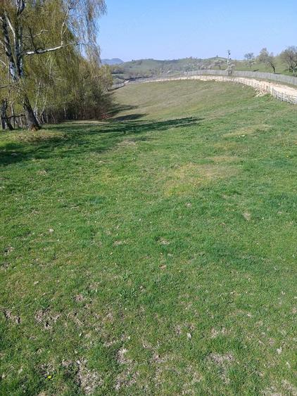 Teren de 6000 mp, în Purcăreți