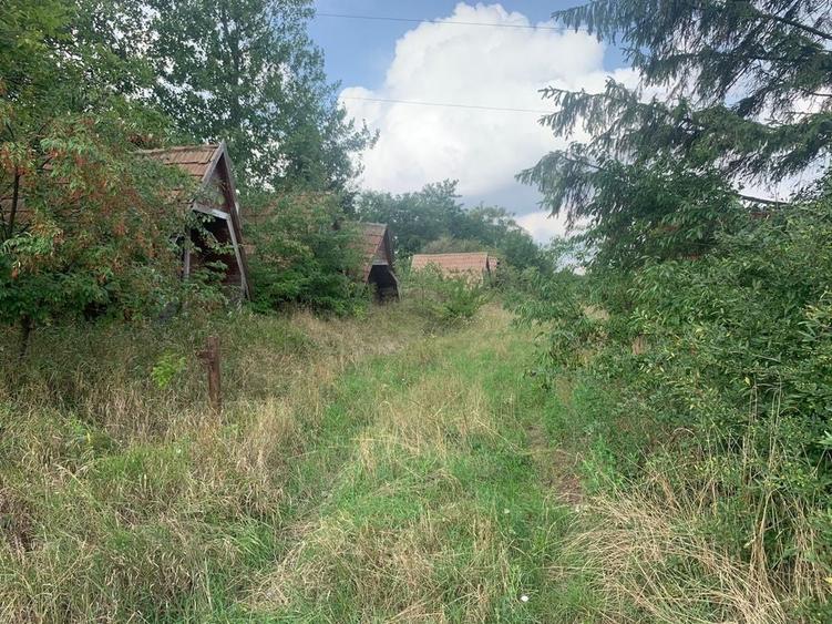 Teren de 7500 mp, în Siret