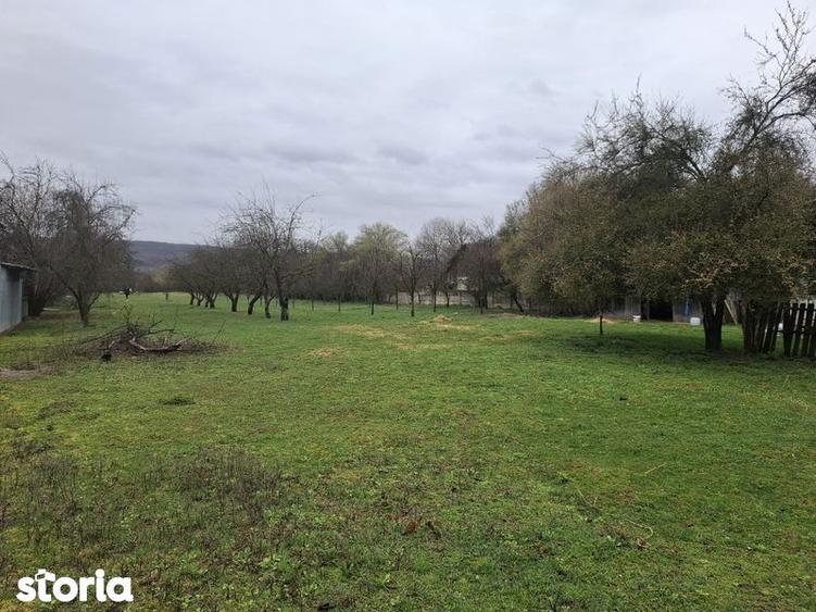 Teren de 5854 mp, în Tătărani