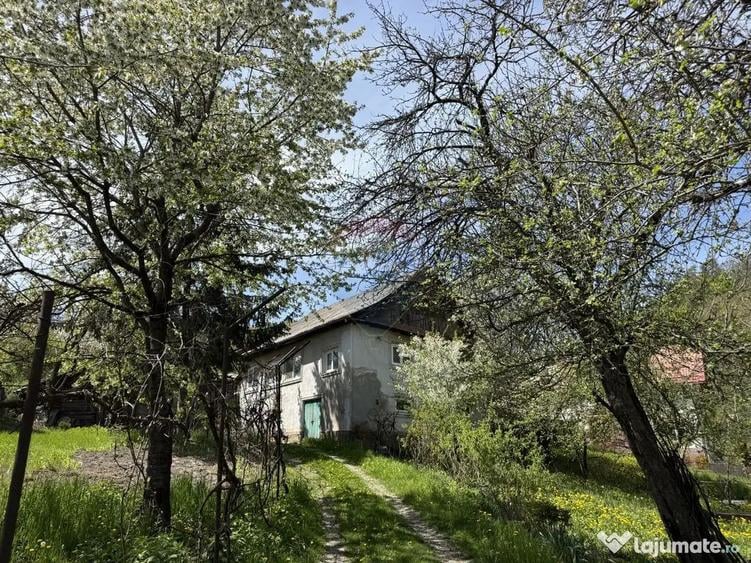 Casă cu 5 camere cu Teren 3056 Mp în Central