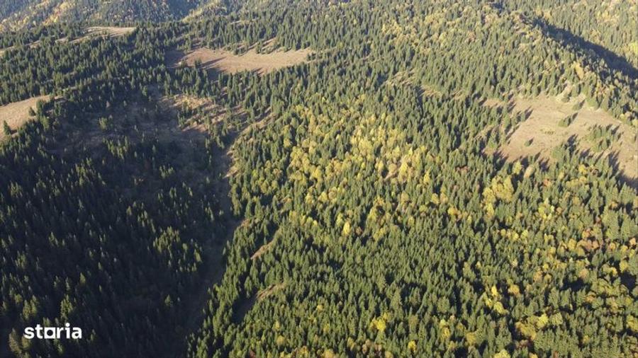 Teren de 162000 mp, în Sărmaș