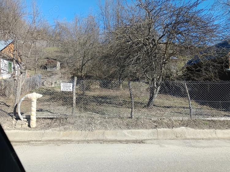 Teren de 1599 mp, în Nistorești