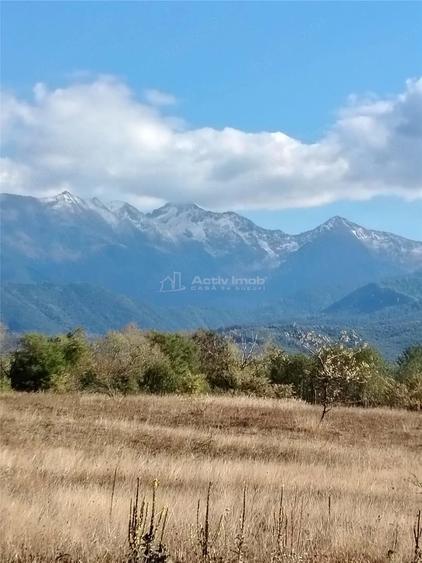 Teren de 600 mp, în Periferie