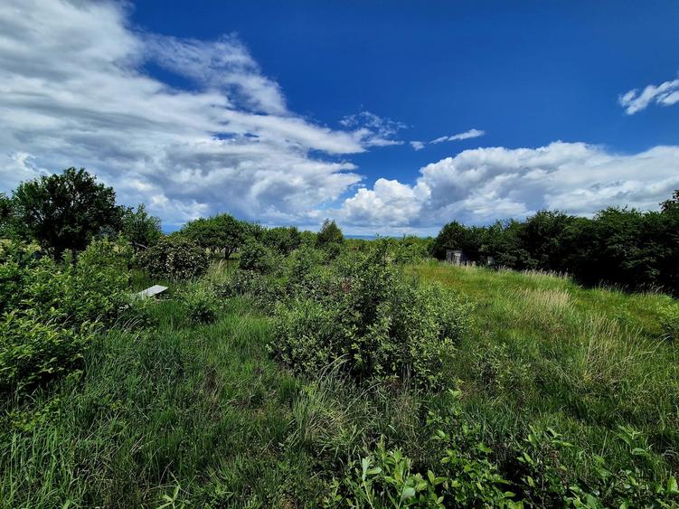 Casă individuală cu 3 camere cu Teren 4542 Mp în Sâmbăta de Sus