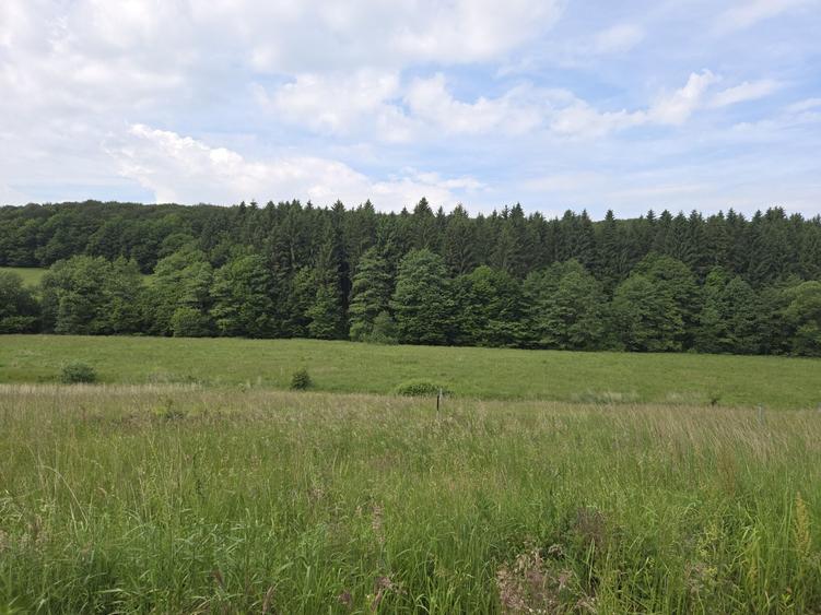Teren de vanzare in Vladeni comuna Dumbravita judetul Brasov - 3