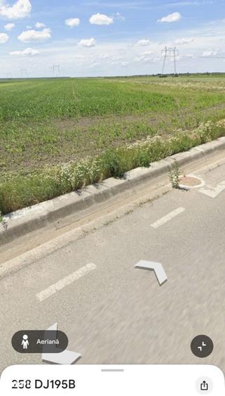 Teren extravilan 10.000 mp Acas, jud. Satu Mare - 6