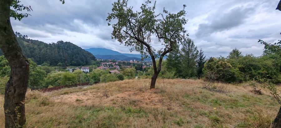 Teren Construcții intravilan de 850 mp, în Turcheș