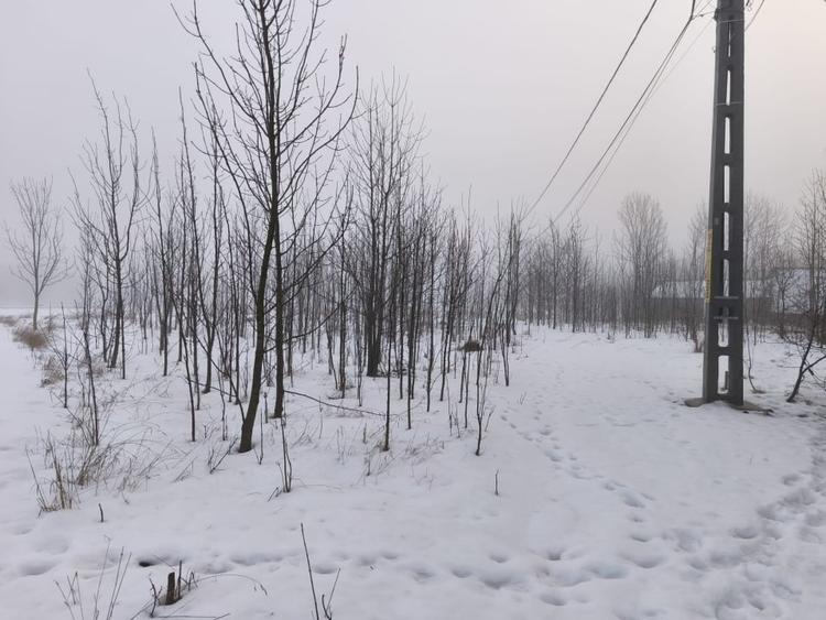 Casă individuală cu 3 camere cu Teren 5000 Mp în Negostina