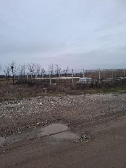 Teren Construcții intravilan de 2500 mp, în Dragomirești